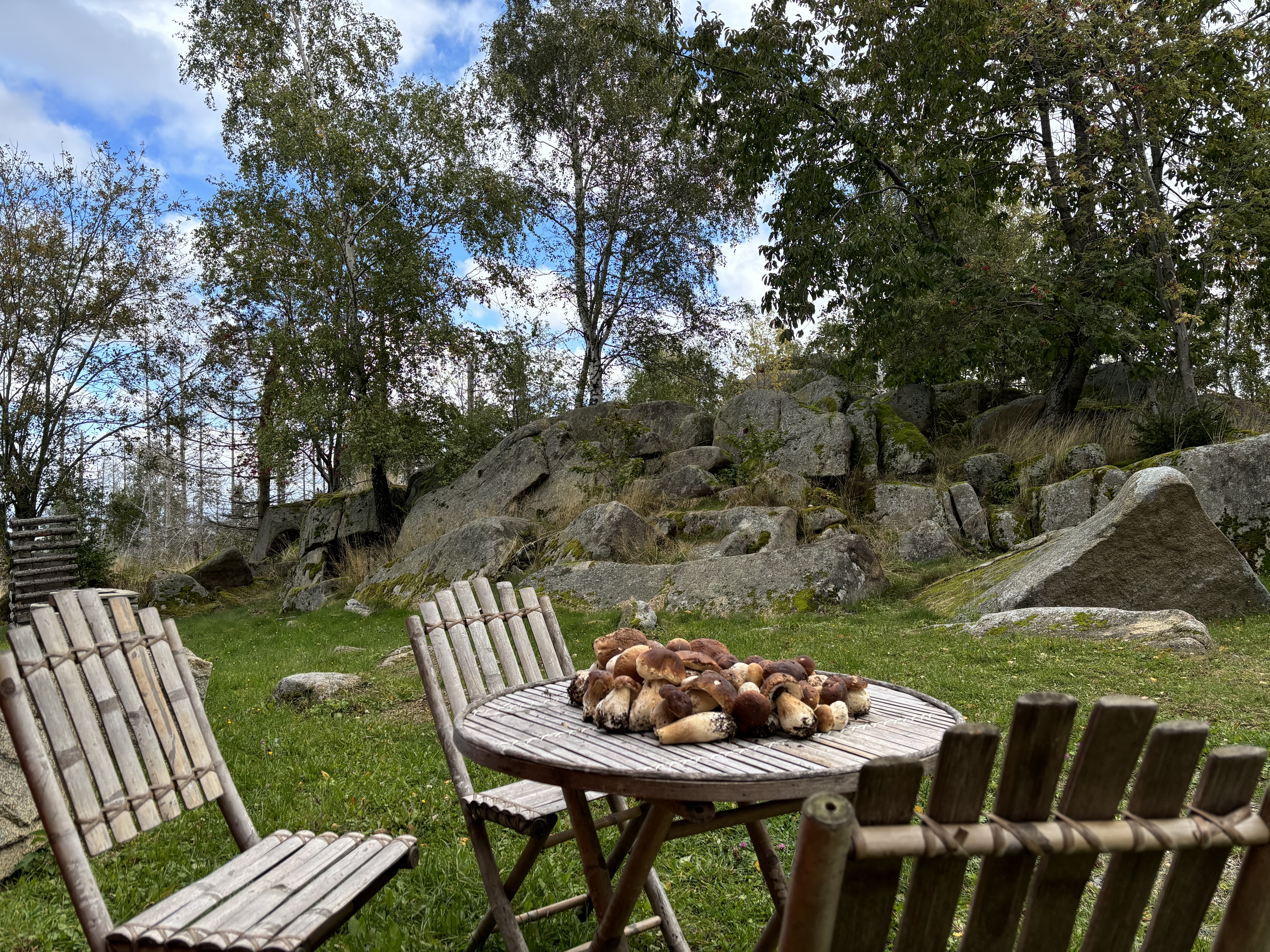 Carlshaus Harz Ferienhaus Brocken 1 Aussenansicht