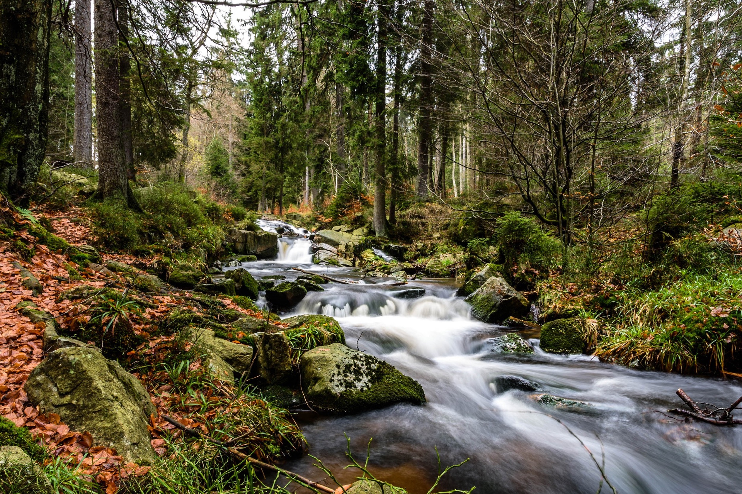 herbst auf dem brocken harz bach